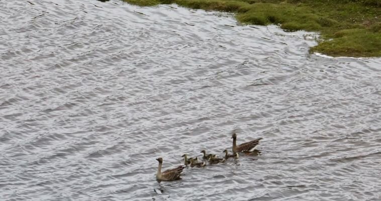 Фото: Наталья Киртаева 
