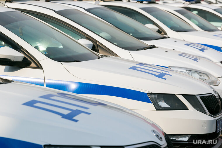    Предварительной причиной поджога считают месть за лишение прав