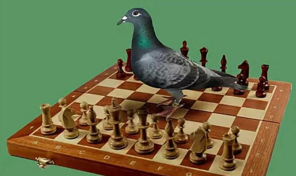 Приводить аргументы таким товарищам - как с голубем в шахматы играть