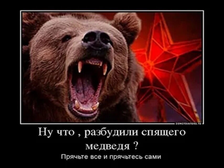 Разбудил бывшую. Русский медведь. Русский медведь проснулся. Разбудили русского медведя. Русский медведь пробудился.