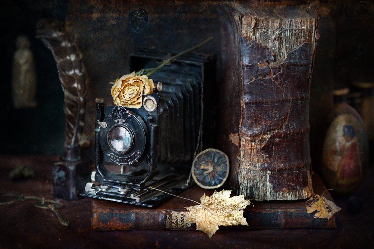 Фото Олега Астахова