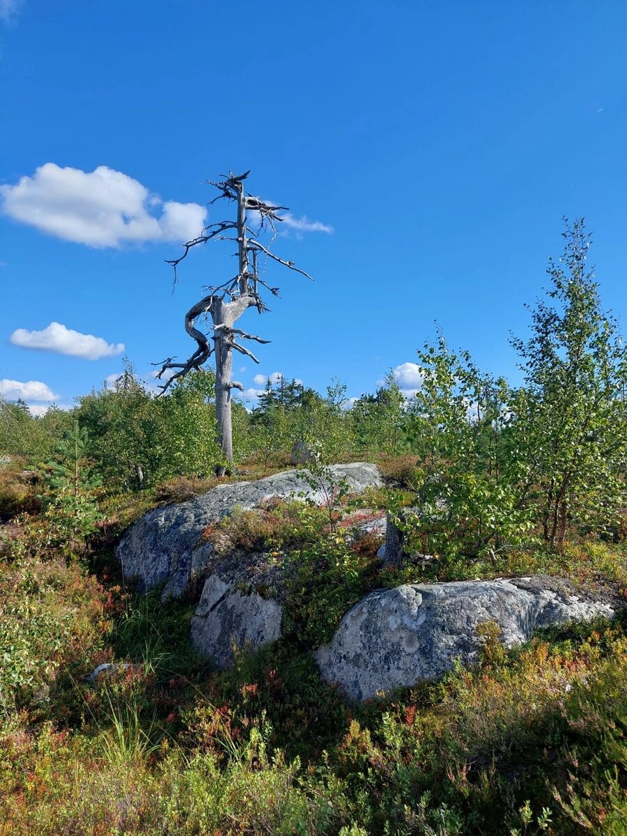 Гора Воттоваара 