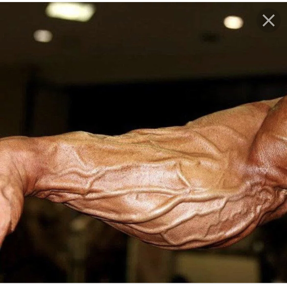 мышцы руки фото