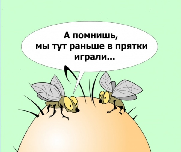 Мухи липнут. Муха карикатура. Муха шарж. Муха карикатура картинки.