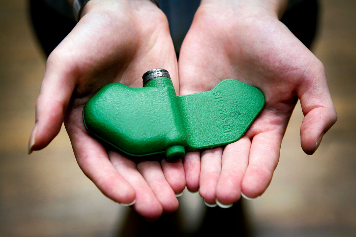 Мина напоминает своей формой и цветом лепесток. В этом и кроется секрет её названия. 