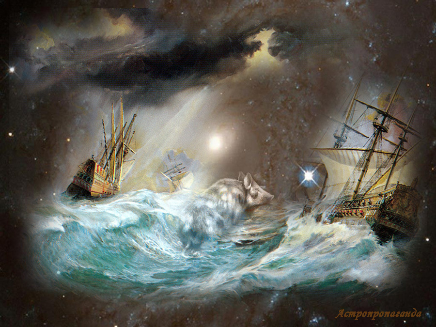 Коллаж Нины Стрелковой. 