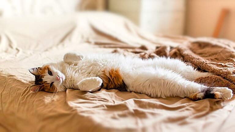 Новый день - новый шанс улучшить нашу жизнь.