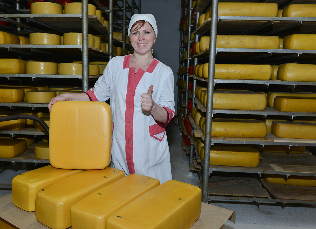 Фото: Александр Тырышкин (Элитные сыры, Чергинский маслосырзавод, Алтай, Россия)