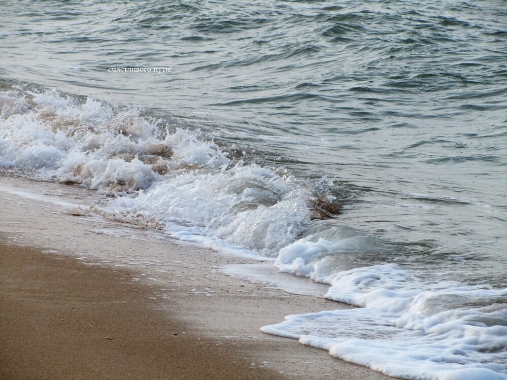 в километре от моря