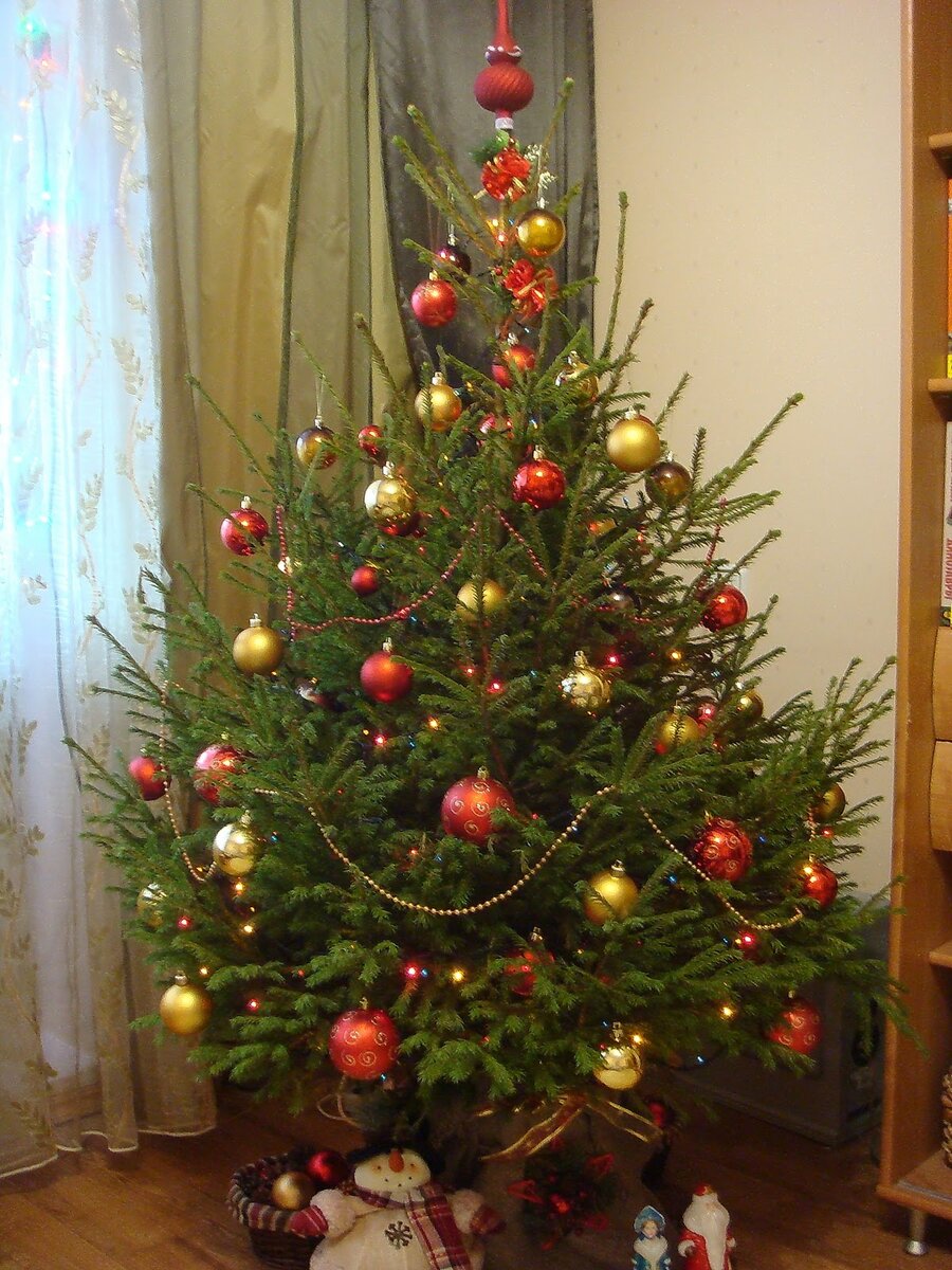 Новогодняя красавица