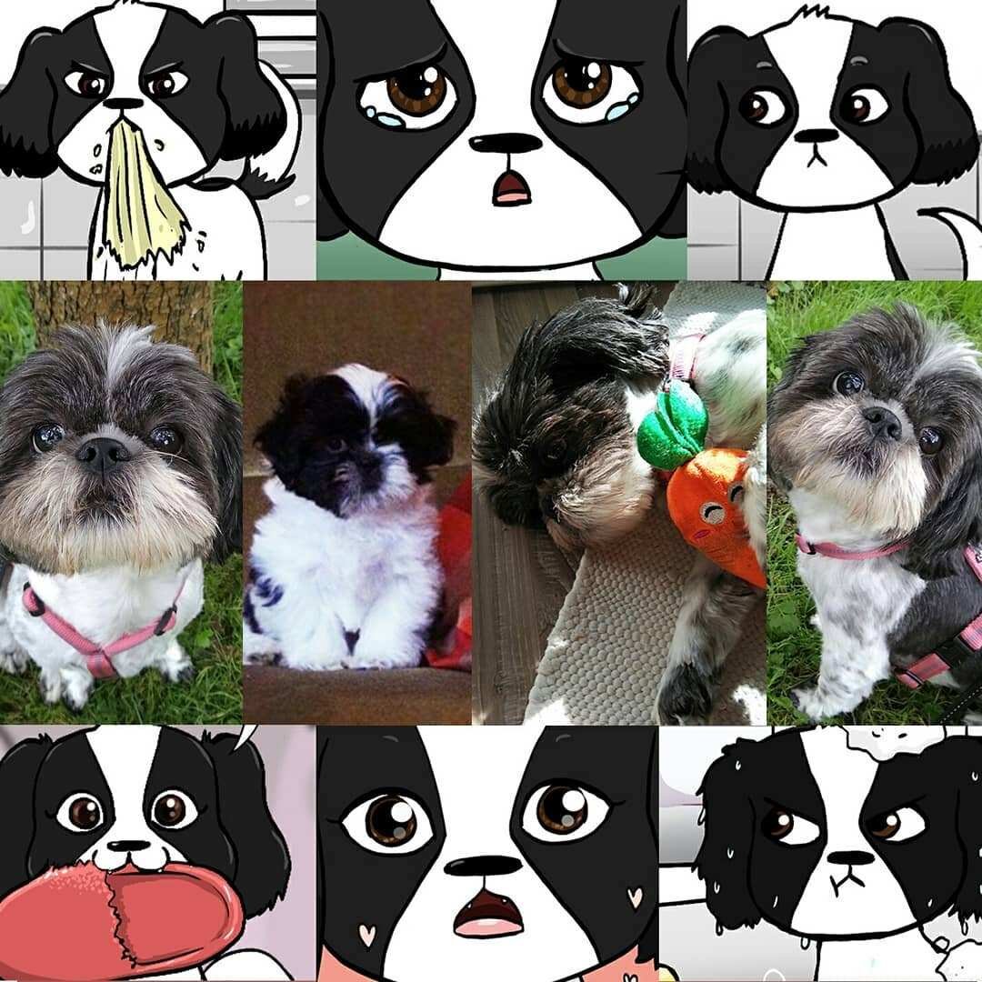 Так выглядит Руби в реальности, фото их Instagram Ребеки Шеффер. 