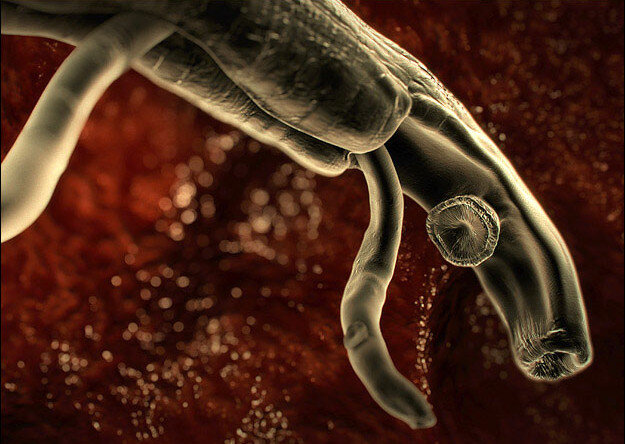 Источник discovery.com