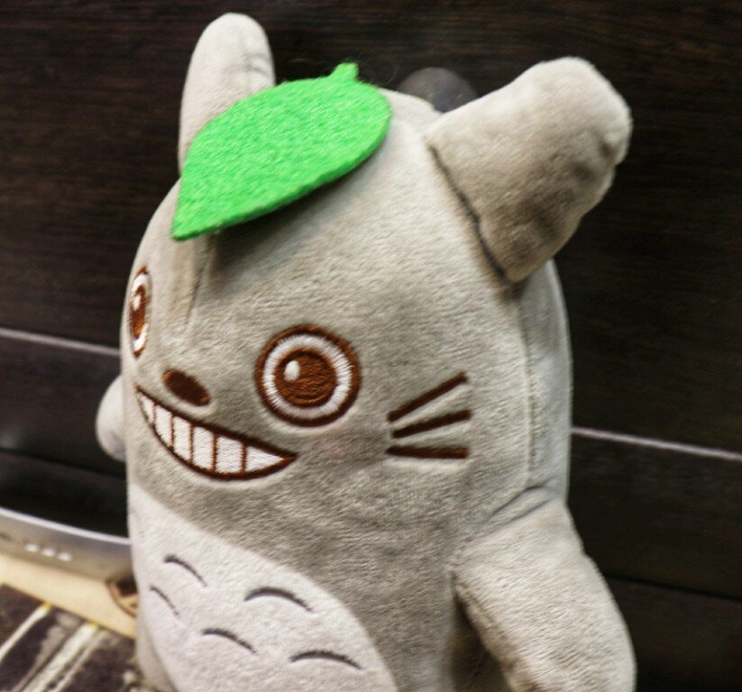 Тоторо готовится к прогулке