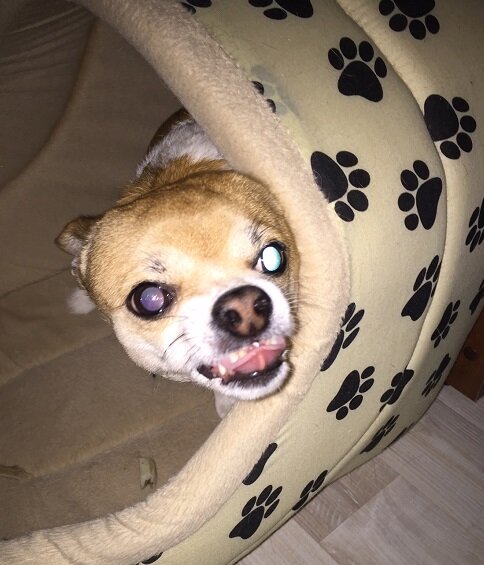 Фото автора.