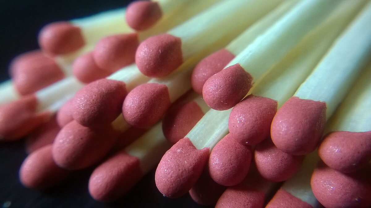 Фото из открытых источников