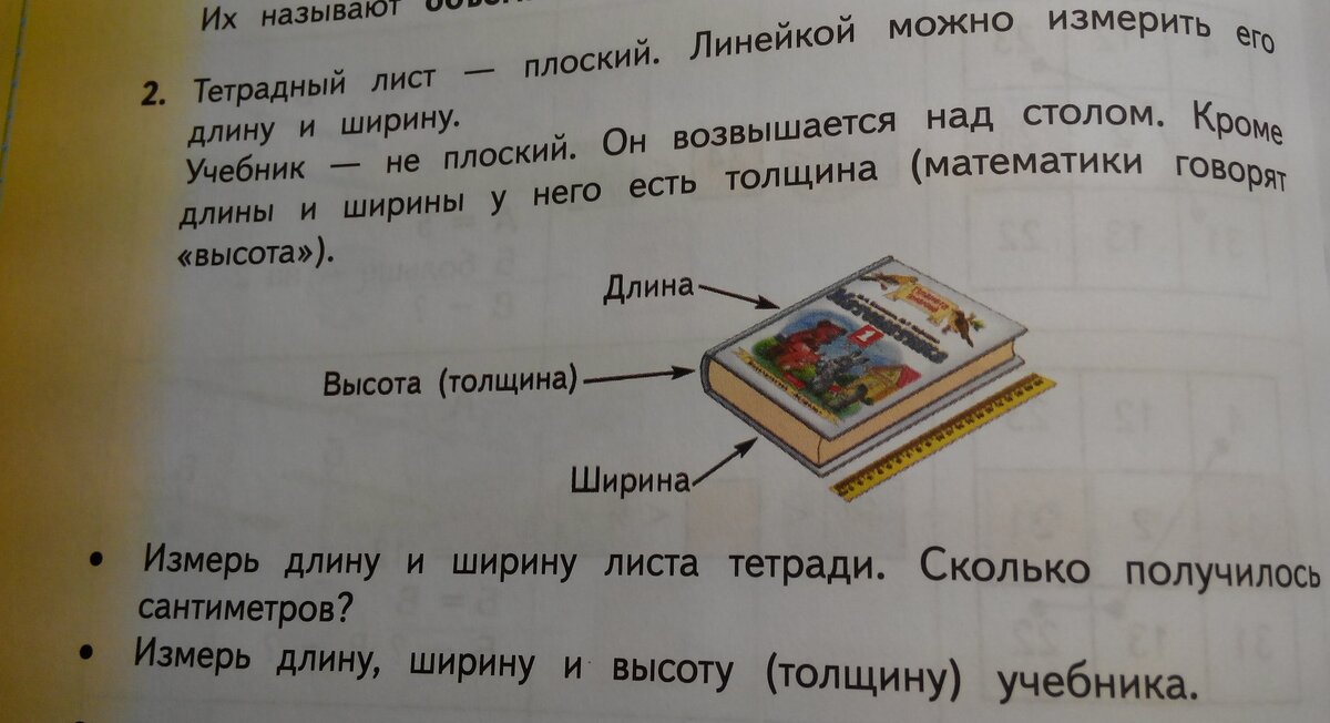 Измерьте длину и ширину учебника биологии вычислите. Ширина учебника. Длина и ширина учебника это как. Учебники 1 класс ширина и длина. Измерить длину и ширину учебника 1 класс.