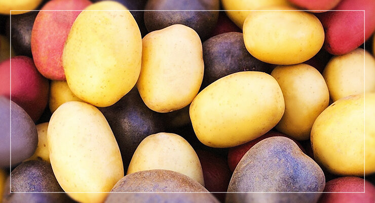 Potatoes seeds Beauty Mid-grade seeds vegetable organic from Ukraine 0.02 grams 