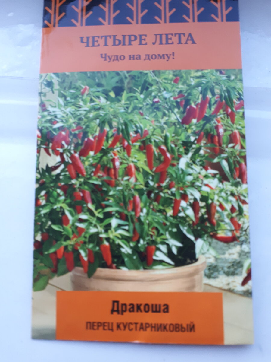 Очень красивое растенин вырастает из этих семян