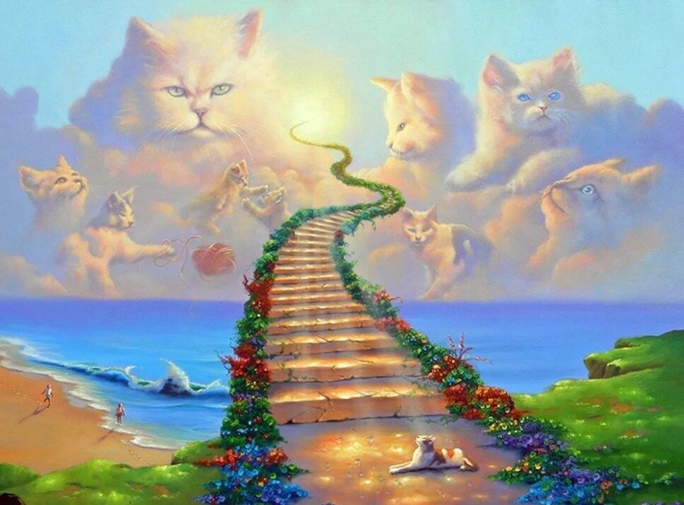 Бегство. Как все начиналось.