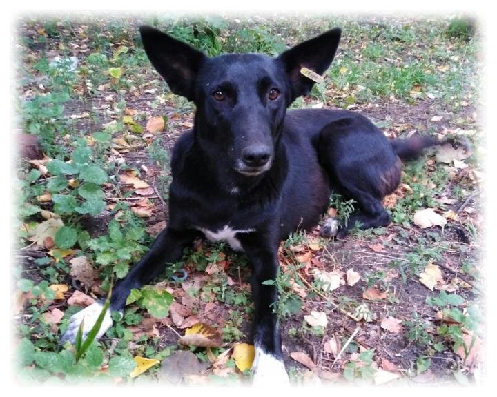 Нюша (мама Киры, Нади и Ксюши)