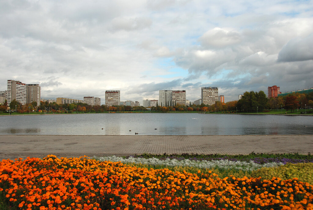 Парк гольяново москва