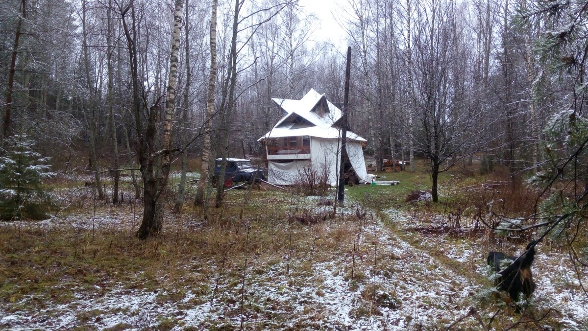 Что делала избушка на курьих ножках в новогоднем лесу в мультфильме «Падал прошлогодний снег»?