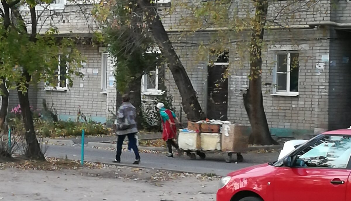 Новая профессия