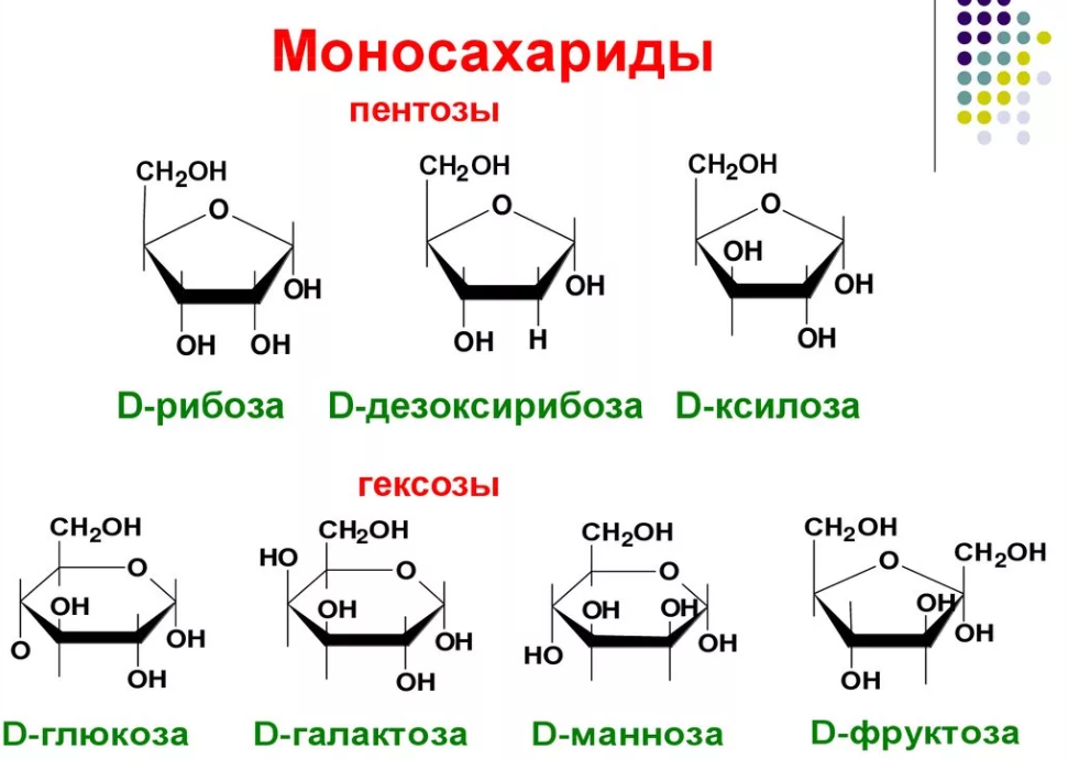 Простые сахара. Моносахариды пентозы классификация. Строение моносахаридов структурная формула. Формулы моносахаридов фруктоза. Структурная формула моносахаридов.