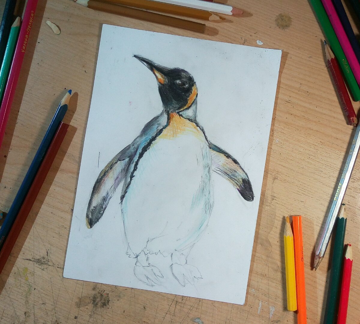 Пингвин рисунок реалистичный
