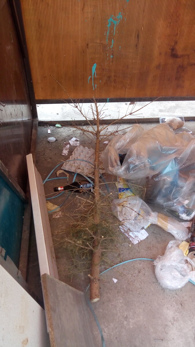 Еще одна такая же...