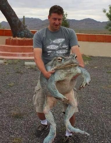 В камерунской реке была поймана самая крупная экземпляр весом 5,920 кг.