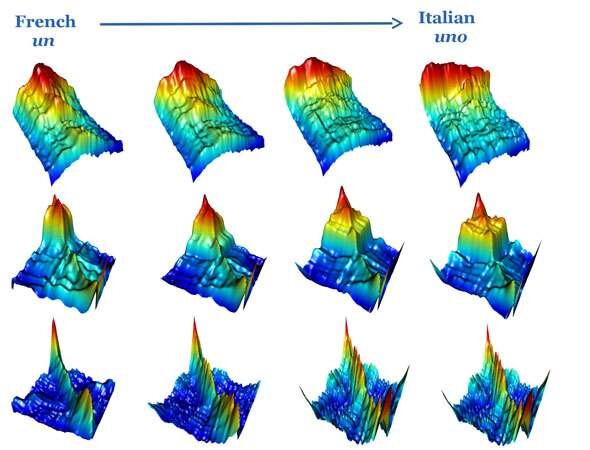 Спектрограммы, показывающие, как форма звука слова  на одном языке может быть превращена в звук того же слова на другом  языке. Иллюстрация: Джон Астон