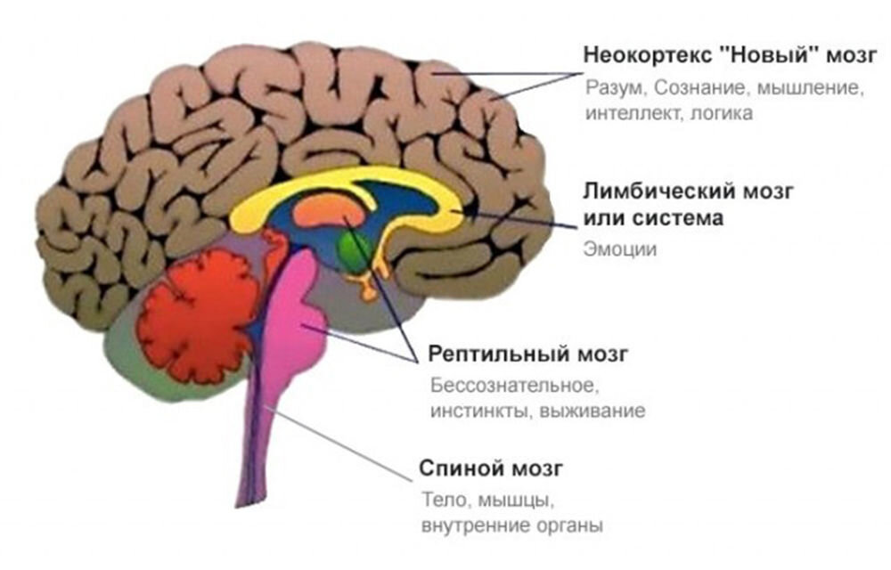 изображение из открытых источников