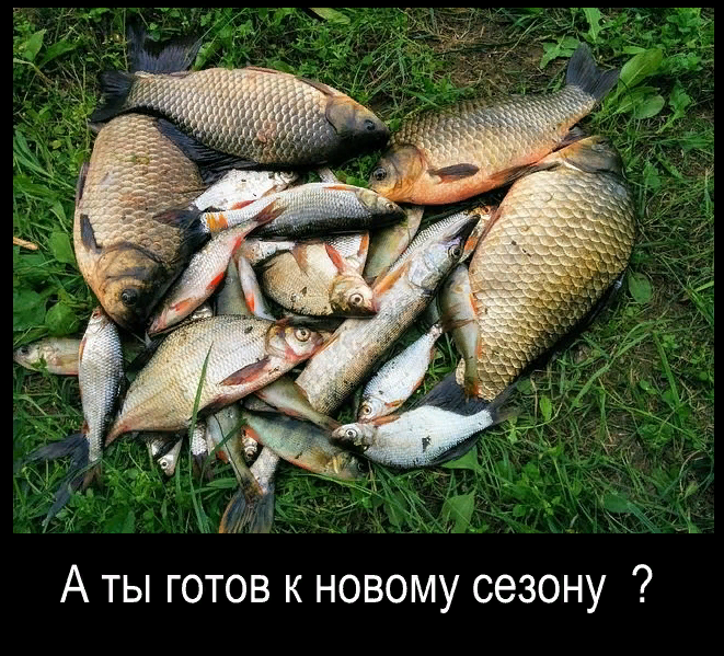 Источник fisher.com.ru