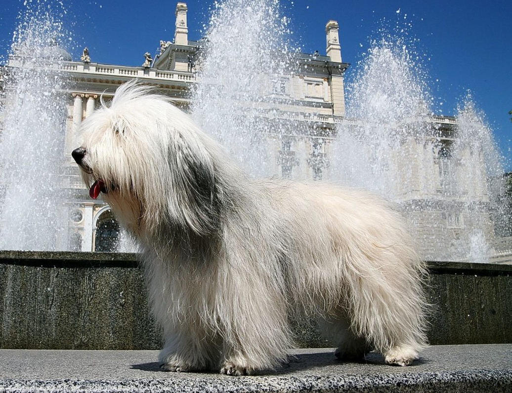 Одис в Одессе