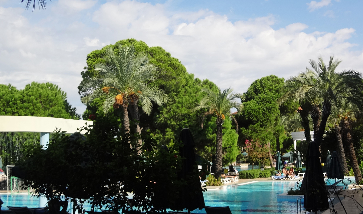 С нетерпением ждем снятия карантина. Фото из личного фотоархива автора