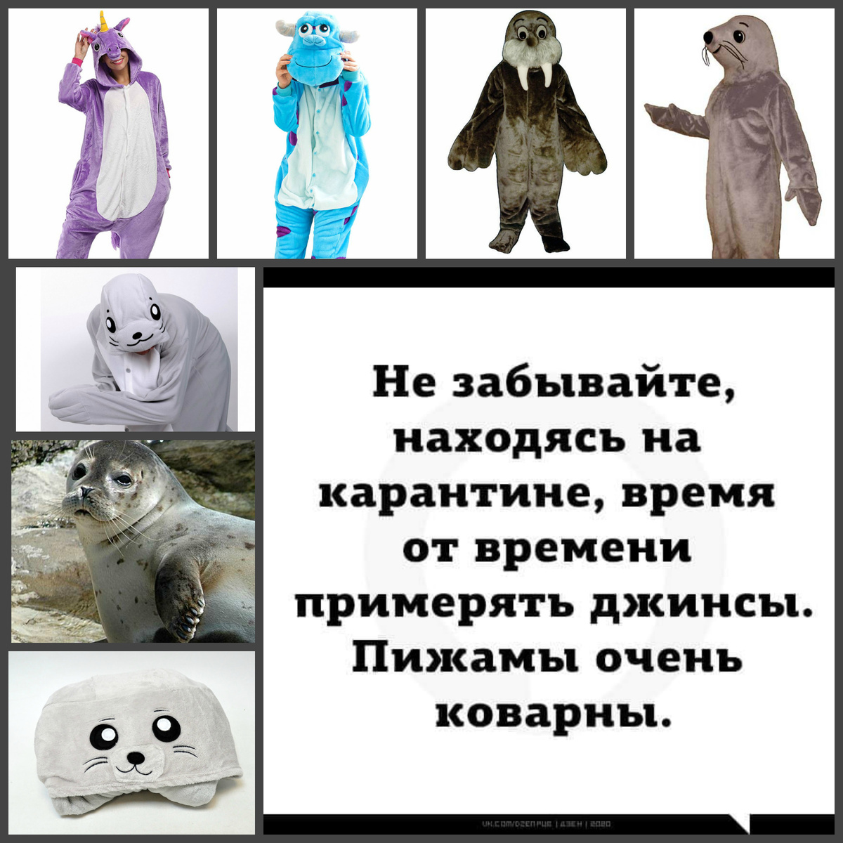 картинки из интернета (коллаж собственный)