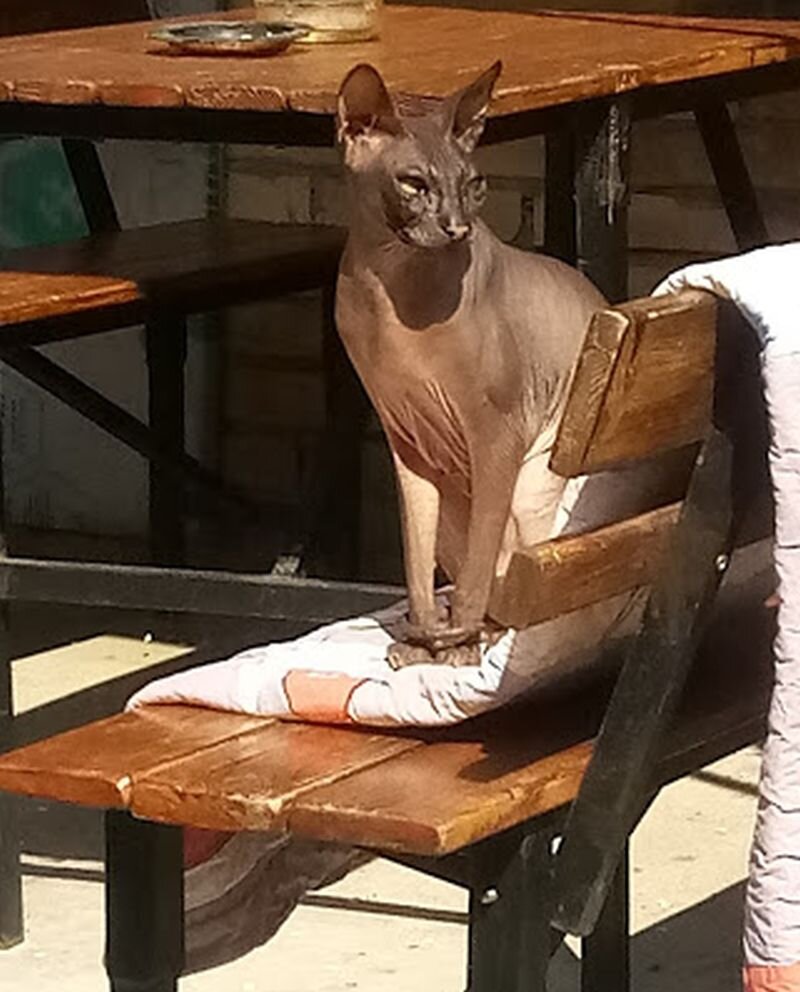 Личный архив от 11.04.2020