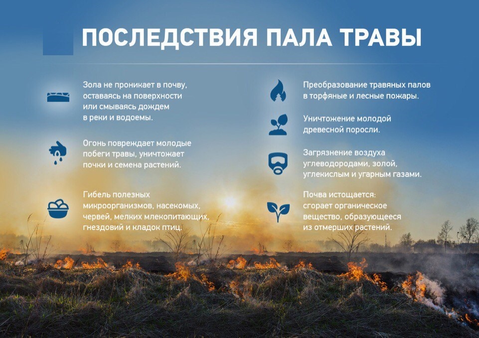          Нет прекраснее времени года, чем весна. Весной пробуждается жизнь и природа радует нас, поют весело птицы. И не хотелось бы заканчивать писать о всем весеннем прекрасном, но УВЫ! Как вспоминают ветераны пожарной охраны Ленинского территориального управления, редкий раз весной были выезды на тушение травы, трава просто не горела, поля были перепаханы и засеяны, а по оврагам и пастбищам паслись стада коров.          К сожалению, в последние годы самая горячая пора для пожарных – это весна и даже лето. Делая анализ работы по годам, по выездам на возгорание травы, невольно задумываешься, а для чего все это надо, что мы получаем от земли, которая годами зарастает бастылом? Получаем только пустую работу и иногда возгорания от травы разного вида построек. Мы не только не используем землю по назначению, но и вдобавок так неразумно люди поджигают траву.
          Пожарные Ленинского территориального управления силами и средствами ГКУ МО «Мособлпожспас» убедительно просят не разводить костры, не жечь мусор, постарайтесь в этот период весеннего тепла и ветров не брать в руки спички и зажигалки. Нужно четко осознать, что пожарная безопасность в районе зависит только от каждого из нас.
Василий Филипенко, 
старший эксперт по ВР и работе со СМИ Ленинского ТУ
