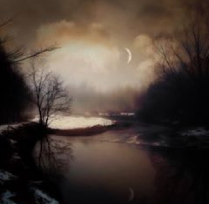 О любимых детективах