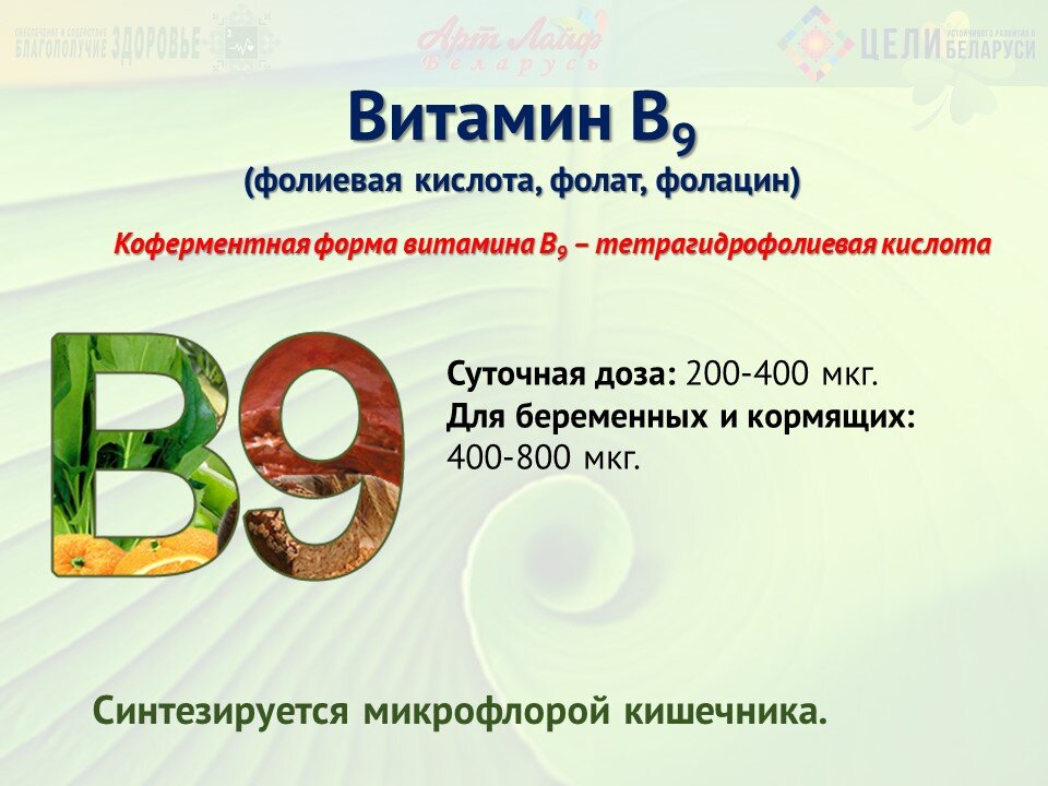 Суточная дозировка витаминов группы в. Витамин 9 норма. Витамины группы б суточная потребность. Норма фолиевой кислоты у женщин. Норма фолиевой кислоты у женщин.