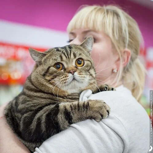 Фото из личного архива