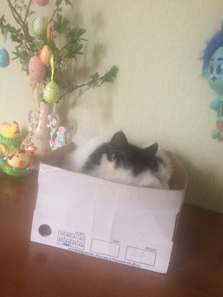 Дуся 