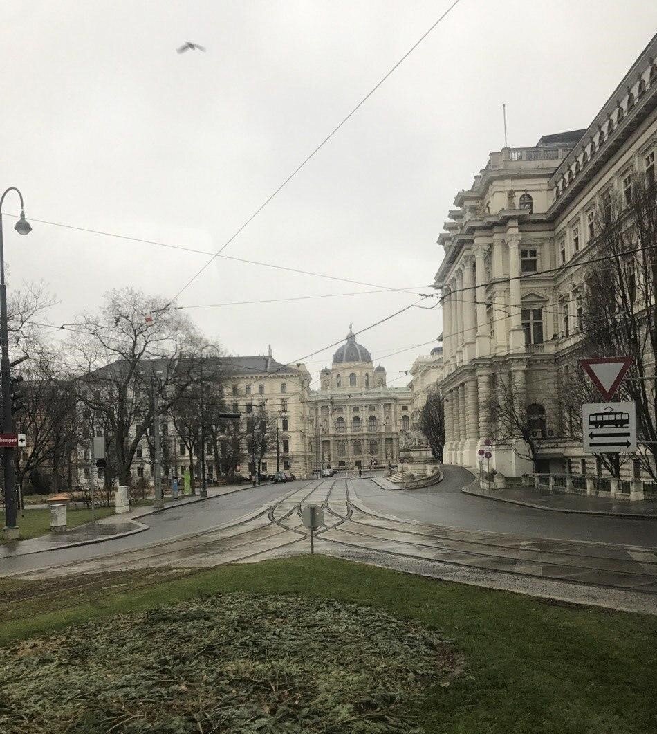 Моя поездка была зимой, в январе. Поэтому можно было не рассчитывать на хорошую солнечную погоду в Вене. Несмотря на красоту и изящество города, чувство холода  и дискомфорта не покидало меня.