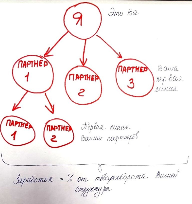 Внешний вид схемы работы сетевого бизнеса.
