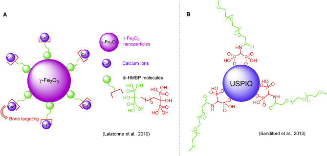 6. А: Спио с линкером БП ответственным за пристреливать косточки. B: BPs выражает высокое сродство к ultrasmall SPIOs (USPIOs) включающ твердую функционализацию наночастиц.