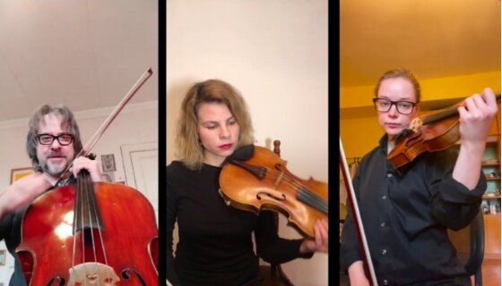 Спектакль создан британским хореографом Исаном Рустемом на произведение Франца Шуберта «Струнный квартет №14 ре минор». Музыку для видеопоказа 29 апреля также из самоизоляции записал камерный оркестр ad Libitum.
