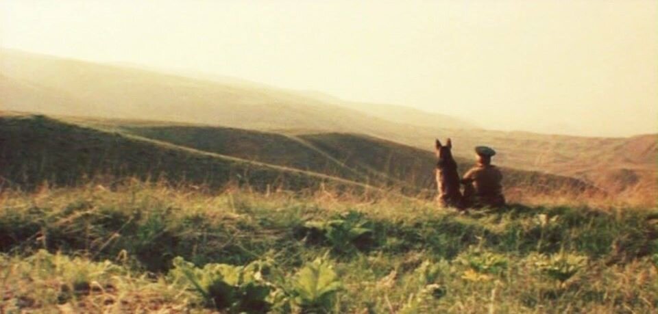 Кадр из фильма "Пограничный пес Алый"