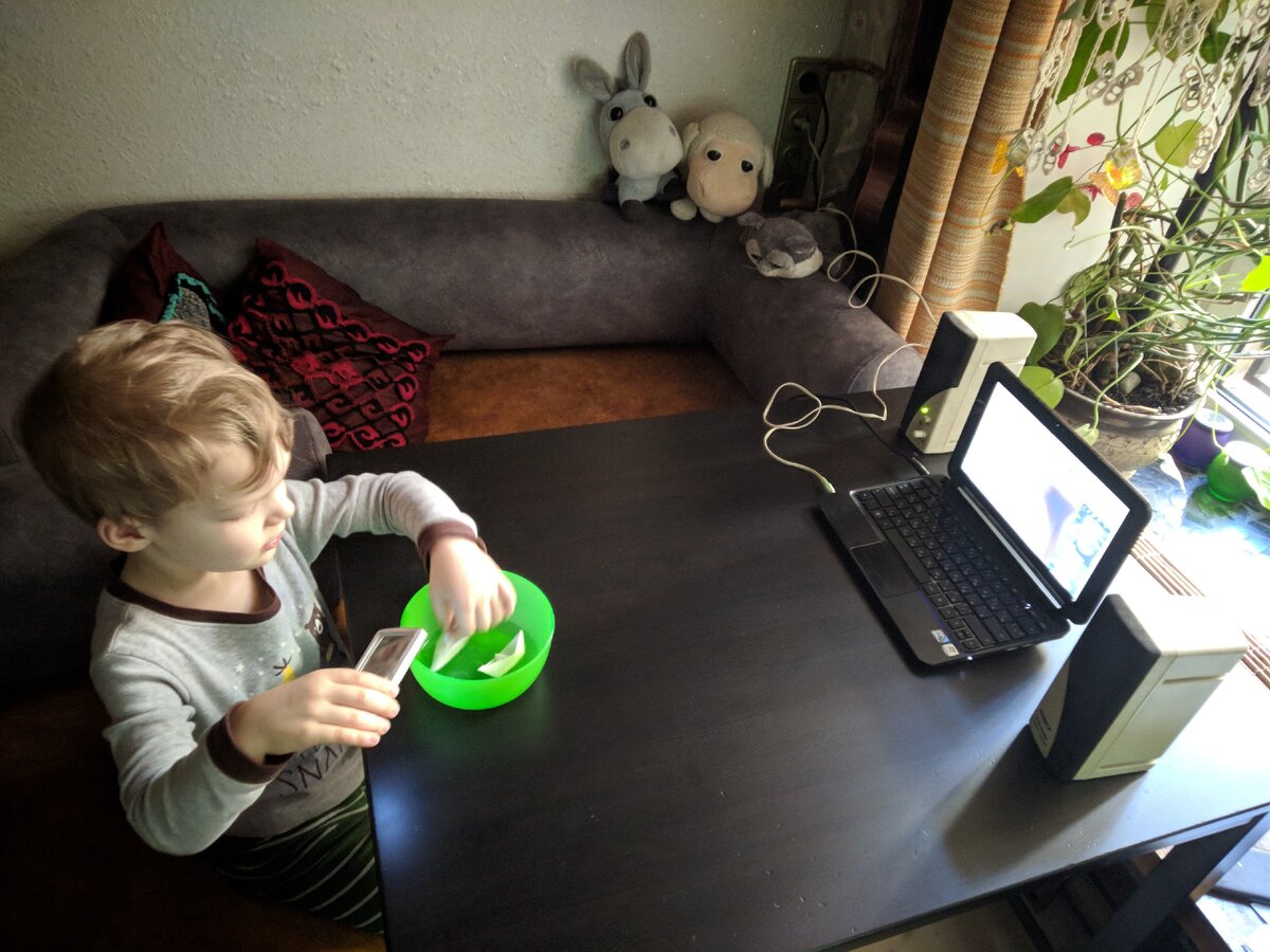 Занятие онлайн