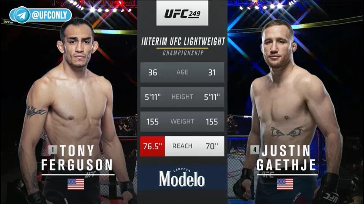 Представление бойцов